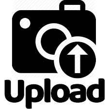 https://forms.gle/Qaby8HGtJNVgp4677 Icon